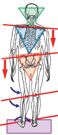orthotics1