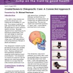 Cranial Bones & Chiropractic Care A Connected Approach1