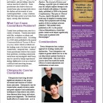 Cranial Bones & Chiropractic Care A Connected Approach2