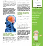 Too Much Sugar Over the Holidays2